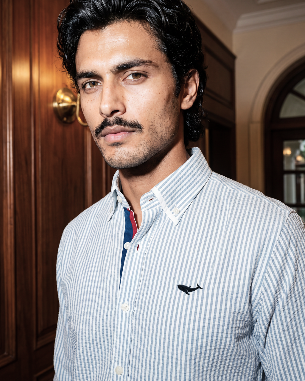 Harbour Seersucker Stripe- Printed Button Placket Shirt